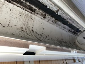 沖縄市安慶田 エアコンクリーニング エアコンクリーニングとハウスクリーニングのクリーンライフ沖縄