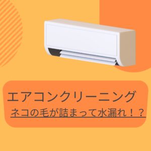 エアコンクリーニング　ネコの毛が詰まって水漏れ